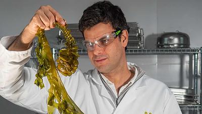 Seaweed Packaging Pioneer Notpla Secures £20 Million to Replace Single-Use Plastics in USA