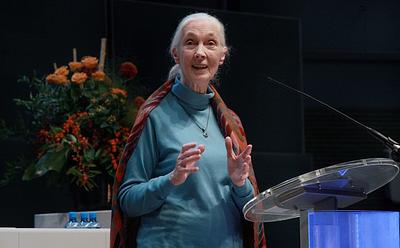 Jane Goodall And Other Guests Served Vegan Lunch At New York Times Climate Event