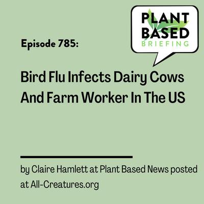 785: Bird Flu Infects Dairy Cows And Farm Worker In The US by Claire Hamlett at Plant Based News posted at All-Creatures.org