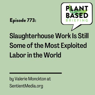 773: Slaughterhouse Work Is Still Some of the Most Exploited Labor in the World by Valerie Monckton at SentientMedia.org