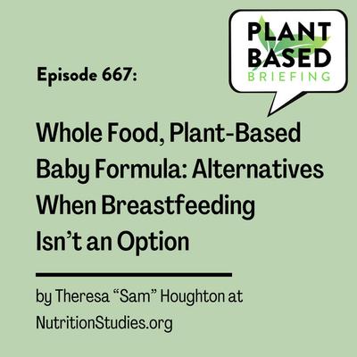 667: Whole Food, Plant-Based Baby Formula: Alternatives When Breastfeeding Isn’t an Option by Theresa “Sam” Houghton at NutritionStudies.org