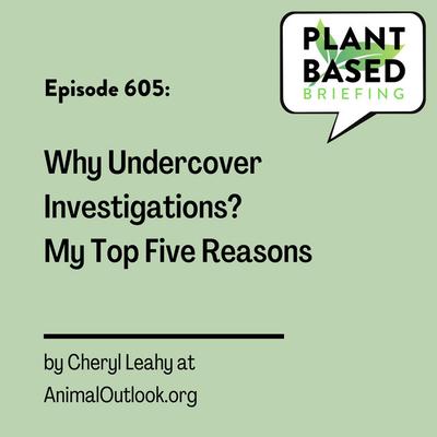 605: Why Undercover Investigations? My Top Five Reasons by Cheryl Leahy at AnimalOutlook.org