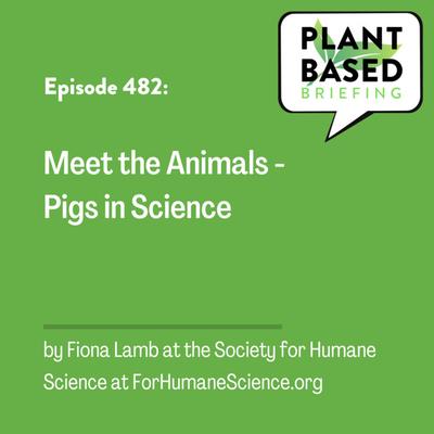 482: Meet the Animals - Pigs in Science. By Fiona Lamb at the Society for Humane Science at ForHumaneScience.org