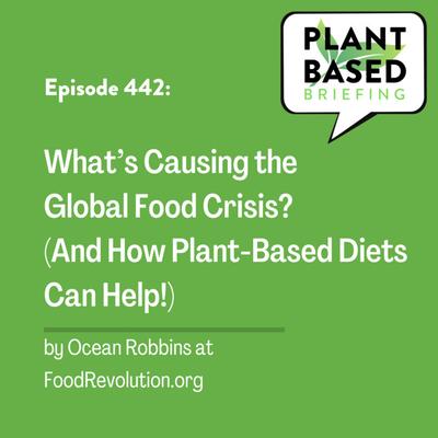 442: What’s Causing the Global Food Crisis? (And How Plant-Based Diets Can Help!) By Ocean Robbins at FoodRevolution.org