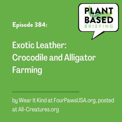 384: Exotic Leather: Crocodile and Alligator Farming by Wear It Kind at FourPawsUSA.org, posted at All-Creatures.org