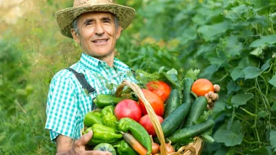 The Daily Fail: The Real Secret to Living Longer? Plants, Not Meat