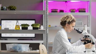 Nurasa Integrates New Wave Biotech’s Simulation Software to Advance AI-Driven Biomanufacturing Scale-Up