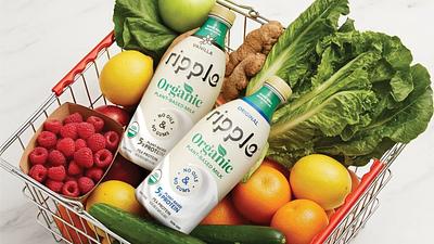 Ripple Foods Launches Organic Pea Milk with 2.5x the Protein of Almond Milk