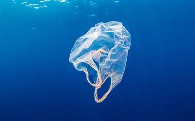 Cutting-Edge Plant-Based Plastic Bag Dissolves In Seawater Leaving No Microplastics