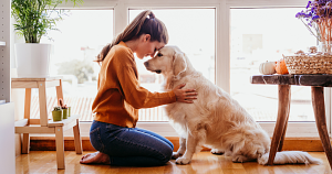 Your dog could live longer—new longevity drug just passed FDA safety approval