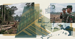 Indonesia deploys armed soldiers to bulldoze one of Earth's last great rainforests