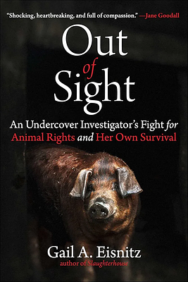 Out of Sight