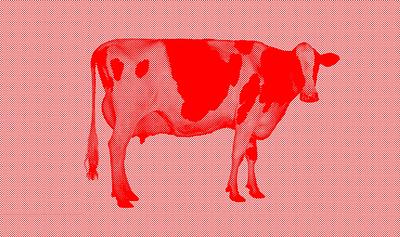 Exclusive: The Real Truth Behind Meat’s Surge in Popularity