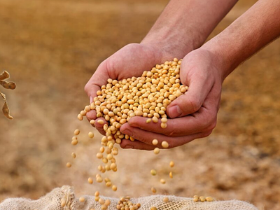 75 Projects, Seven Pillars, €3B in Funding: How Europe Can Achieve A Sustainable Protein Transition