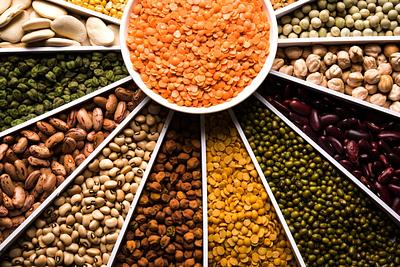 ProVeg Spain Asserts its Key Role in Food Sustainability and the Future of the Planet
