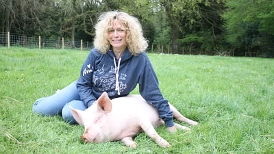If Everyone Went Vegan: What Happens to the Animals?