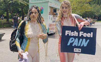 Green Goddesses Take NY: Vegan TV Show Nominated For Webby