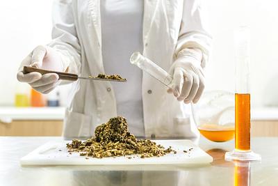 Food x AI: How Data-Driven Innovation Is Shaping the Future of Plant-Based Food