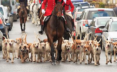You Can Help End Trail Hunting In England And Wales Today