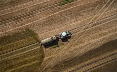 UK’s Worst Ammonia Pollution Hotspots Correlate With Factory Farms