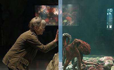 This Netflix Film About An Octopus Could Make You Rethink Seafood