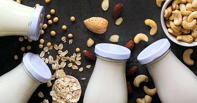 T. Hasegawa Introduces Powdered Dairy-Free Flavor Technology for Plant-Based Formulations