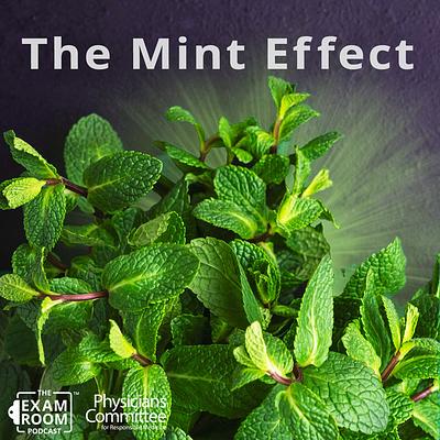 Doctor Reveals 12 Surprising Health Benefits of Mint