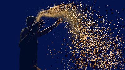 Malt Fermentation Explored as Route to Cocoa Alternatives in New French Research Project