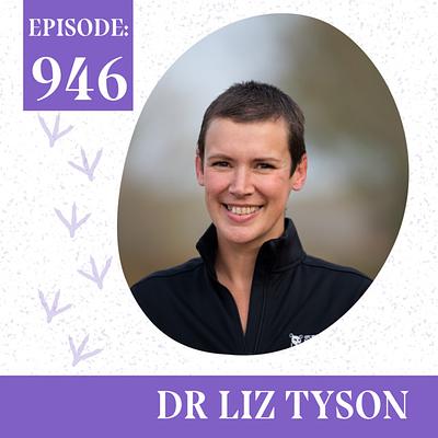 The Truth About “Top” Zoos: Dr. Liz Tyson of Born Free USA on Animal Captivity, Happy the Elephant, and Why No Zoo Is Good for Animals