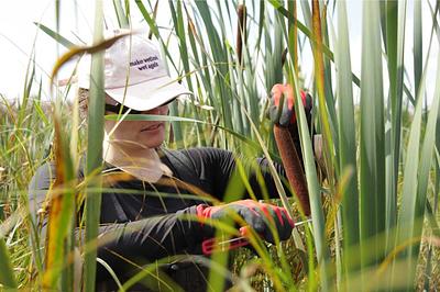 Ponda Opens Crowdfunding Round to Scale Bulrush-Based Fashion Insulation