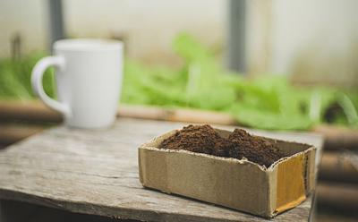 Upcycled Coffee Grounds Could Be The Secret To Enhancing Plant-Based Meat