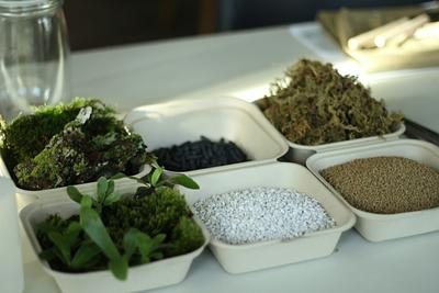 Bipartisan Bill Would Use Tax Credits to Build US Plant-Based Materials Sector