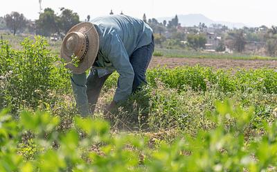 New Bipartisan Legislation Could Help Expand Plant-Based Manufacturing In The US