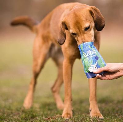 Vegan4Dogs Launches Algae-Based DHA Snack for Dogs in Plastic-Free Packaging