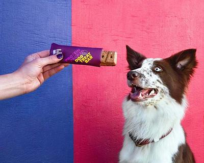 FDA Clears Precision Fermentation Lamb Protein for Dog Food in First for Pet Nutrition Sector