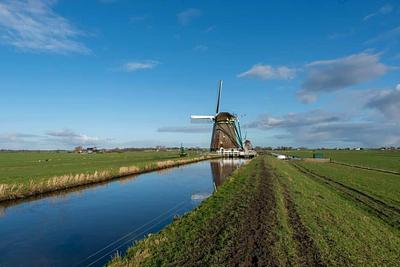 RespectFarms and Province of South Holland to Host Inaugural Cell Farmers Symposium in The Hague