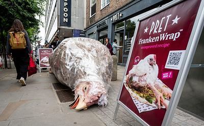 ‘Monstrous’ Chicken Sculpture Dumped Outside London Pret