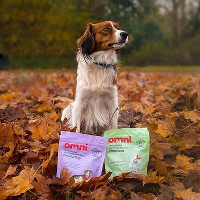 Vegan Pet Food Brand Omni Raises £11M After Year of Tenfold Growth