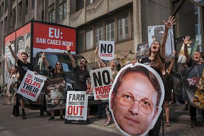 EU Lawmakers Press Commission for Cage Ban Timeline as Activists Stage Four-Day Brussels Protest