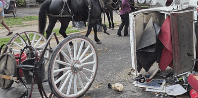 Teenager Romanch Mahajan Died in a Runaway Central Park Carriage Incident