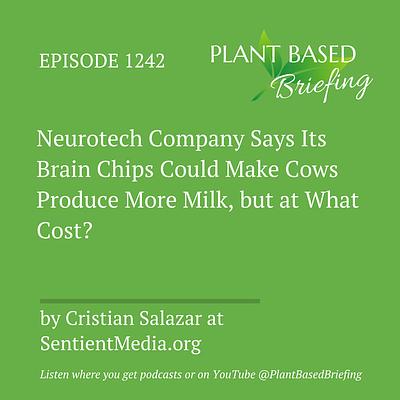 1242: Neurotech Company Says Its Brain Chips Could Make Cows Produce More Milk, but at What Cost? by Cristian Salazar at SentientMedia.org