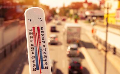 Animal Agriculture Is Responsible For The UK’s 40C Heatwave