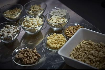 VTT White Paper: Plant-Based Ingredient Businesses Must Move Beyond Protein-Only Models to Attract Capital