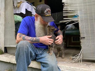 It’s Kev and Cal’s First Cat World Domination Day—Celebrate by Adopting Them!