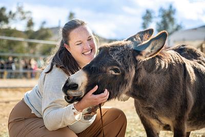 10 Things You Didn’t Know About Donkeys