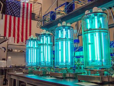 Biosphere Adds CO2-to-Protein Technology With NovoNutrients Deal