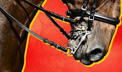 One Tragedy May Have Changed the Future of Horse Carriages in New York Forever.