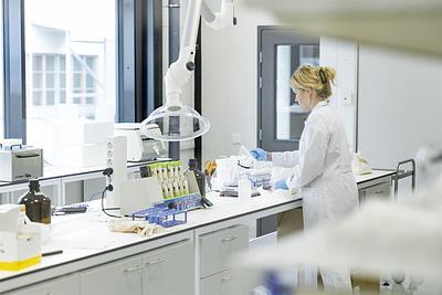 Raisio Completes €19M Nokia Mill Investment Programme as Gluten-Free Oat Exports Accelerate