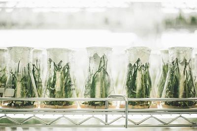 Coefficient Giving Opens $10M Funding Call for Alternative Protein Taste Research