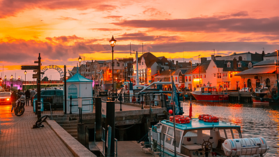 Dorset Council Rejects Plant Based Treaty